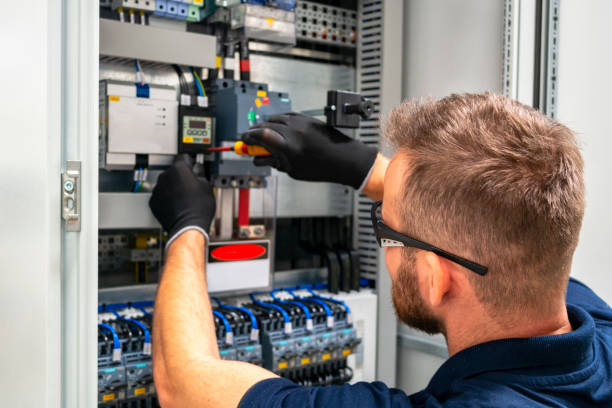 Best Licensed Electrician  in Pinckneyvle, IL