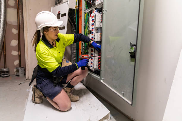 Best Electric Panel Repair  in Pinckneyvle, IL
