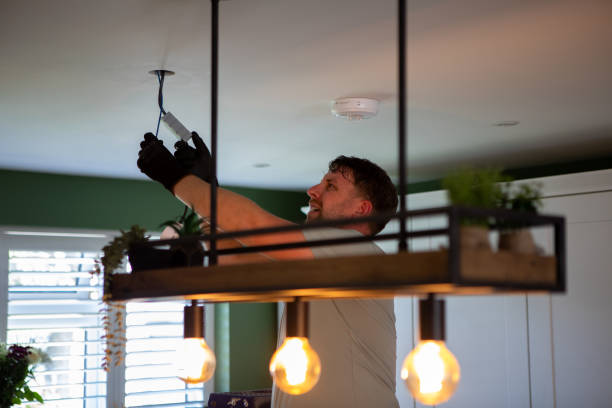 Best Electrical Troubleshooting Services  in Pinckneyvle, IL