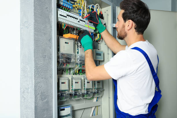 Best Ceiling Fan Installation Electrician  in Pinckneyvle, IL
