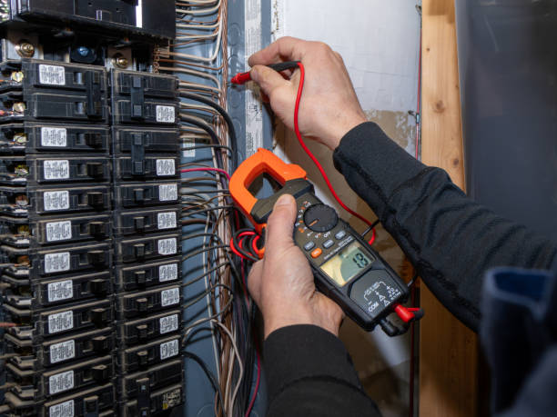 Best Electric Panel Repair  in Pinckneyvle, IL